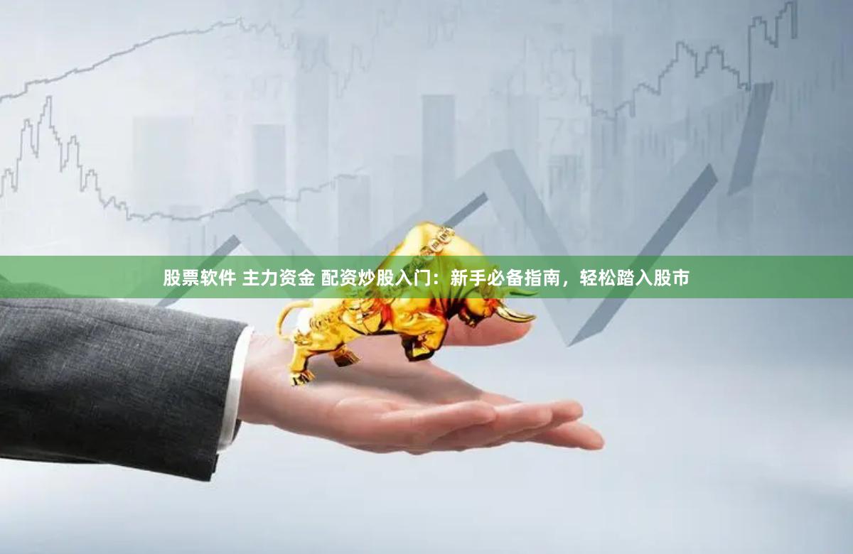股票软件 主力资金 配资炒股入门：新手必备指南，轻松踏入股市