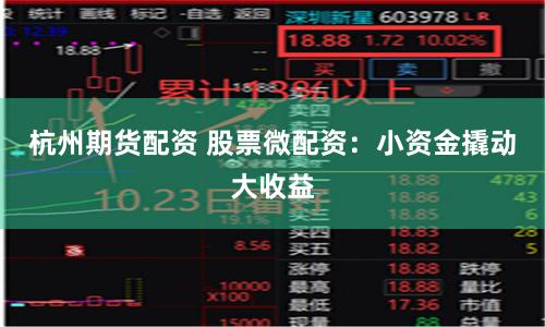 杭州期货配资 股票微配资：小资金撬动大收益