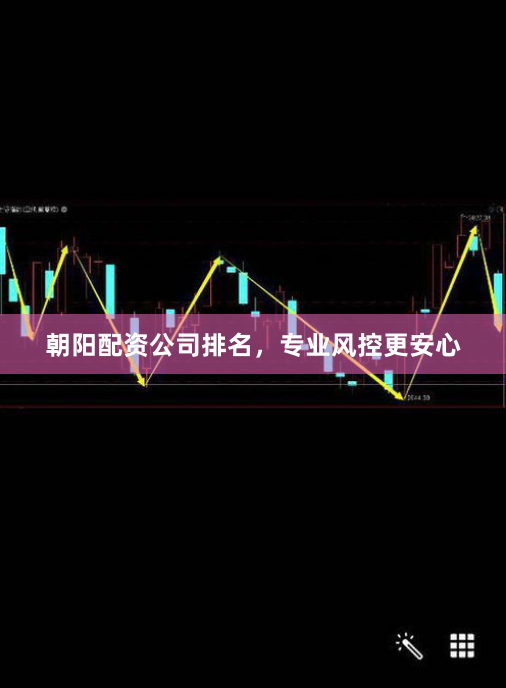 朝阳配资公司排名，专业风控更安心